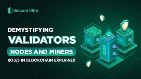 The Role of Validators