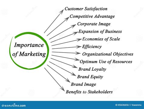 The Role of Market